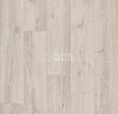 Линолеум Forbo Eternal Wood 10842 cream oak фото 1 | FLOORDEALER
